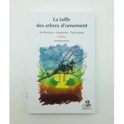 IDF - La taille des arbres...