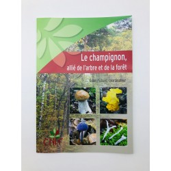 "Le champignon"