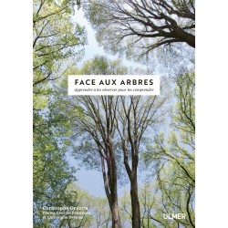 Face aux arbres