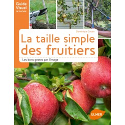 La taille simple des arbres...