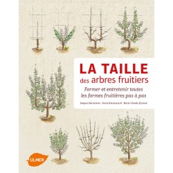 La taille des arbres fruitiers