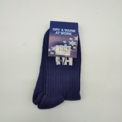 HELLY HANSEN - Chaussettes Lifa marine