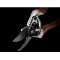 FELCO - Sécateur FELCO F8 ELITE