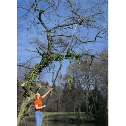 coupe branche FISKARS