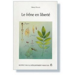 le frêne en liberté