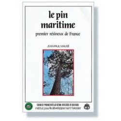 le pin maritime 1er résineux de france