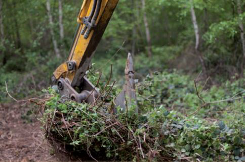 Arbres, fôrets et autres végétations - Tutos et conseils - Le