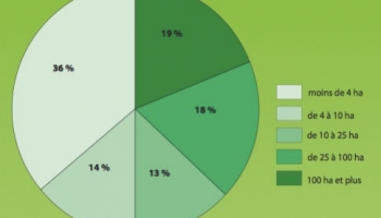 Forêts privées : quels propriétaires, quelles forêts ?