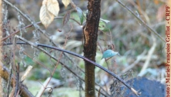 Préparez dès maintenant la prochaine saison de chasse ! 