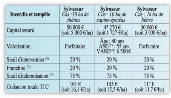 Sylvassur : enfin, un système d’assurance tempête adapté aux forestiers !