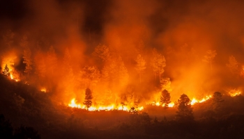 Feux de forêt :  une lutte collective