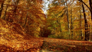 Equinoxe du 22 septembre, l’automne est arrivé !