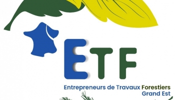 Une association des Entreprises des Travaux Forestiers du Grand Est