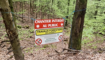 Chantiers forestiers et sylvicoles, n’oubliez pas de les déclarer !