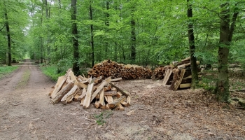 Chauffage au bois, quelques bons réflexes pour acheter son bois bûche