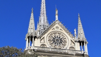 Notre-Dame de Paris, le grand œuvre de nombreux forestiers...