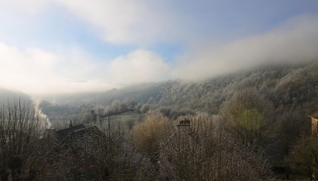 Feux de forêts : c’est maintenant qu’on débroussaille !