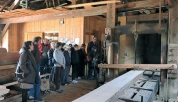 La journée internationale des forêts en Lorraine et en Alsace : une réussite à t